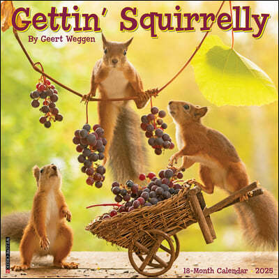 Gettin' Squirrelly 2025 12 X 12 Wall Calendar