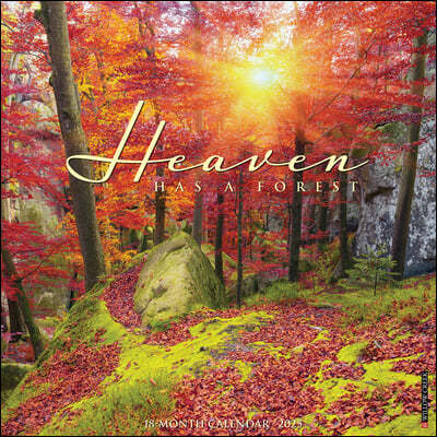 Heaven Has a Forest 2025 12 X 12 Wall Calendar