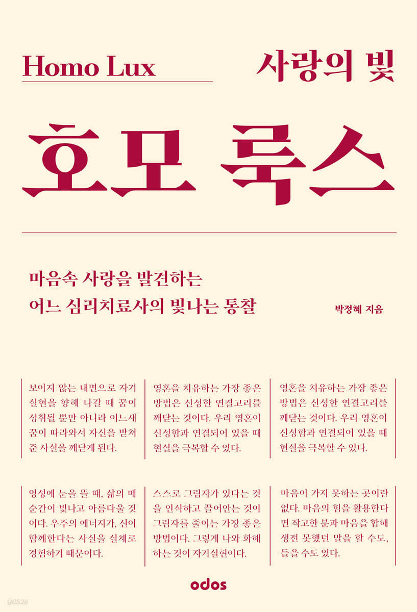 사랑의 빛 호모 룩스