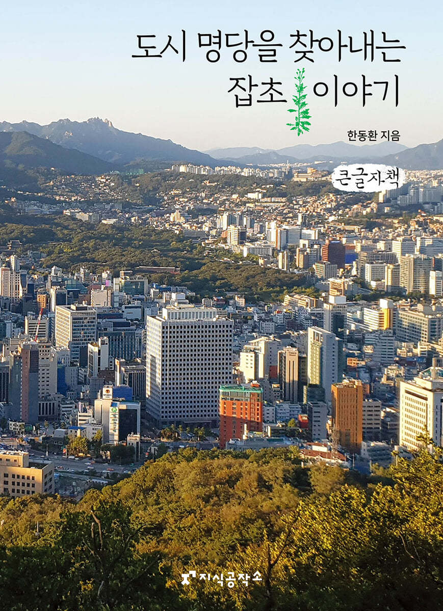 도시 명당을 찾아내는 잡초 이야기 (큰글자책)