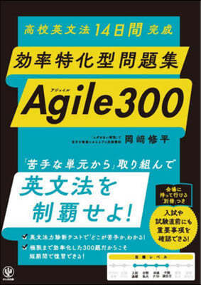  Agile300