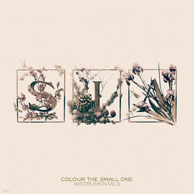 Sia (시아) - 3집 Colour The Small One [투명 앤 화이트 컬러 2LP] 