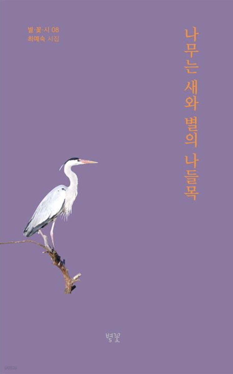 나무는 새와 별의 나들목