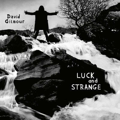 David Gilmour — Luck and Strange 앨범 커버