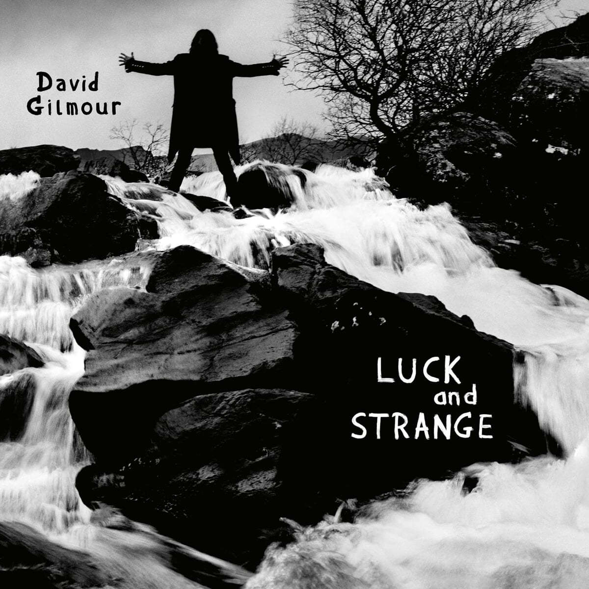 David Gilmour (데이비드 길모어) - Luck and Strange [LP]