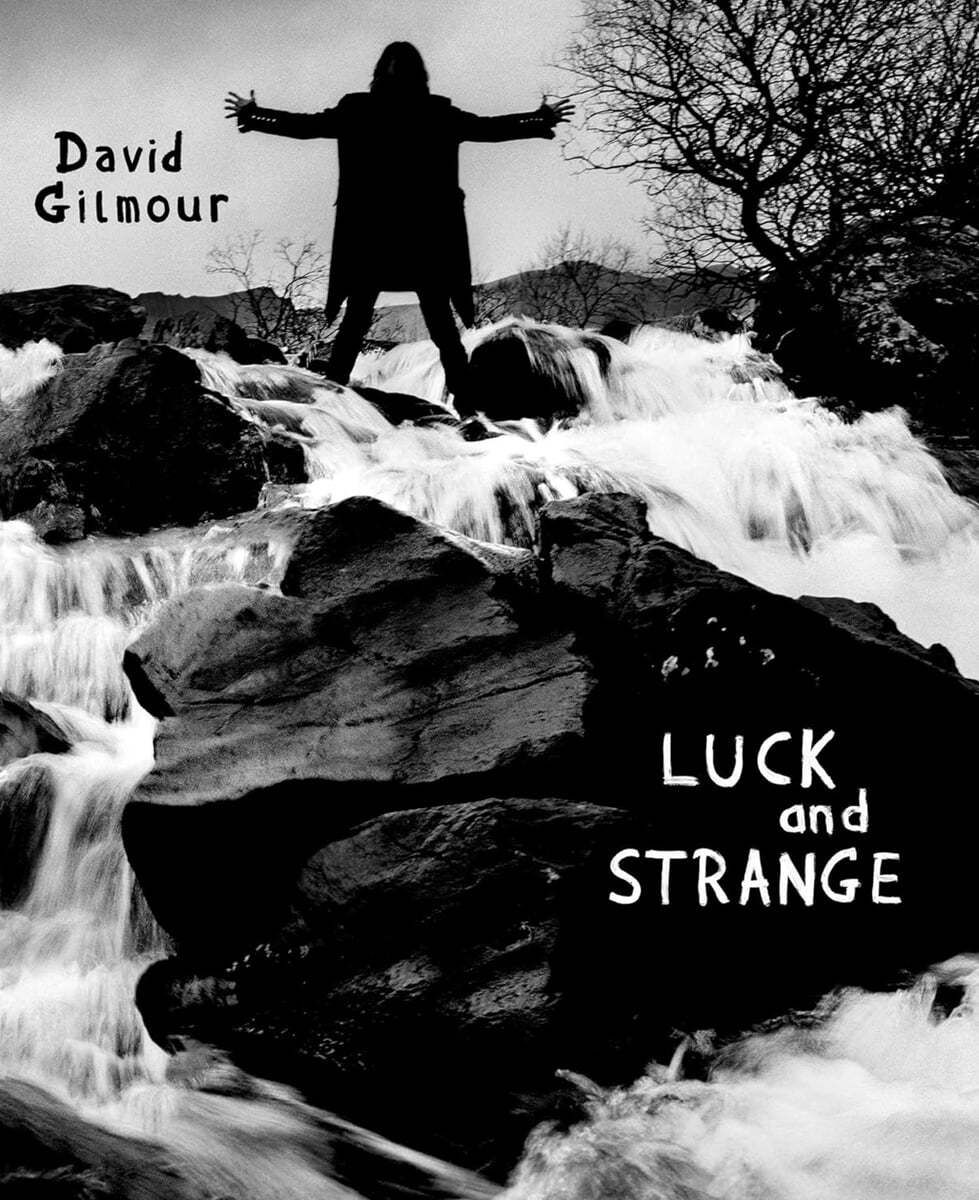 David Gilmour (데이비드 길모어) - Luck and Strange 