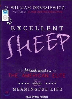 Excellent Sheep