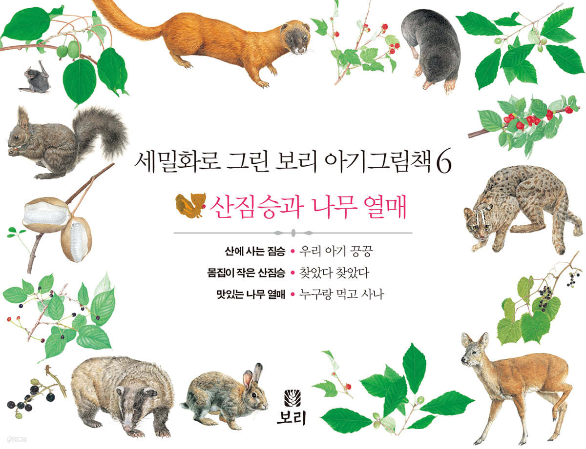 세밀화로 그린 보리 아기그림책 6