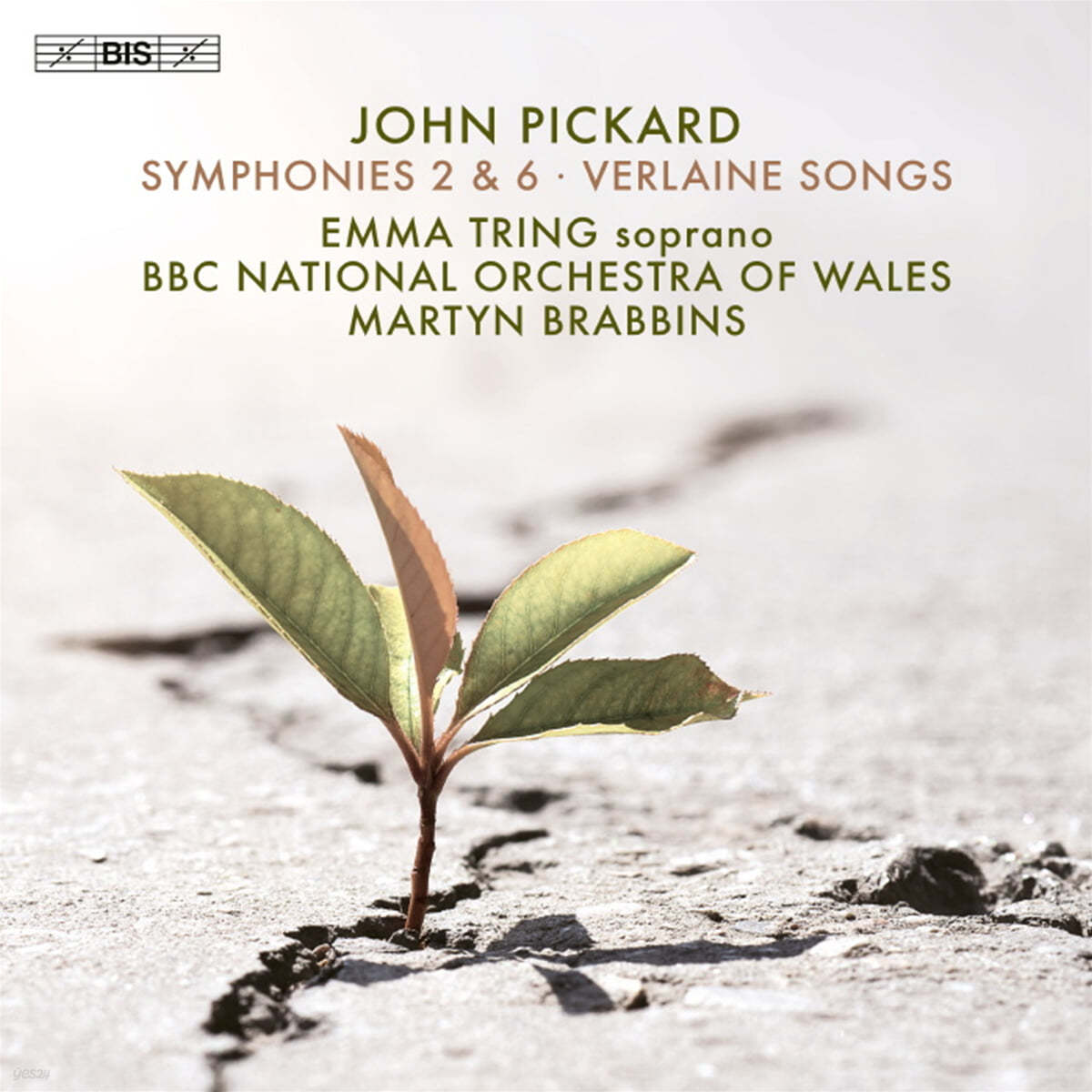 Martyn Brabbins 존 피카드: 교향곡 2번, 6번, 베를렌 노래 [챔버 오케스트라를 위한 버전] (John Pickard: Symphonies 2 & 6, Verlaine Songs)