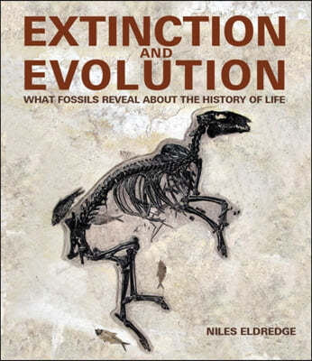 Extinction and Evolution: What Fossils Reveal about the History of Life