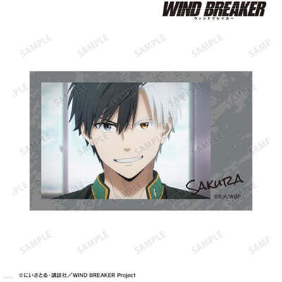 WIND BREAKER 櫻遙 場面寫インスタントカメラ風イラストカ-ド