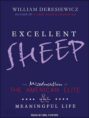 Excellent Sheep