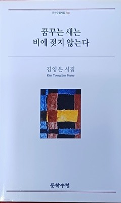 꿈꾸는 새는 비에 젖지 않는다 (김영은 /2011 (초)/143쪽/문학수첩)