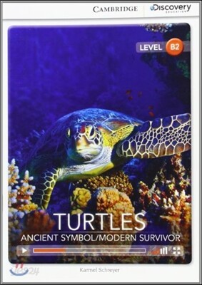 Turtles