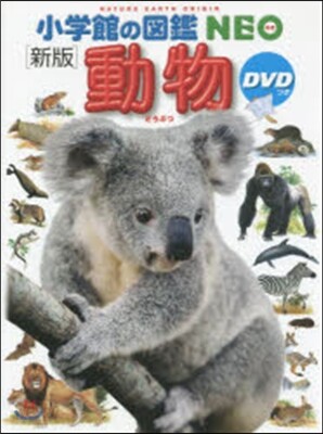 動物 新版