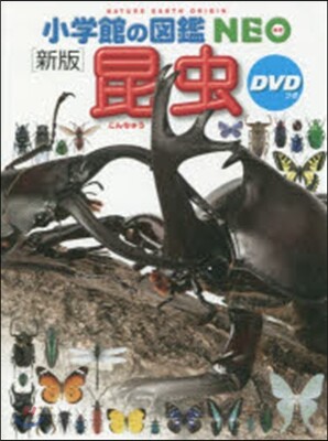 昆蟲 新版