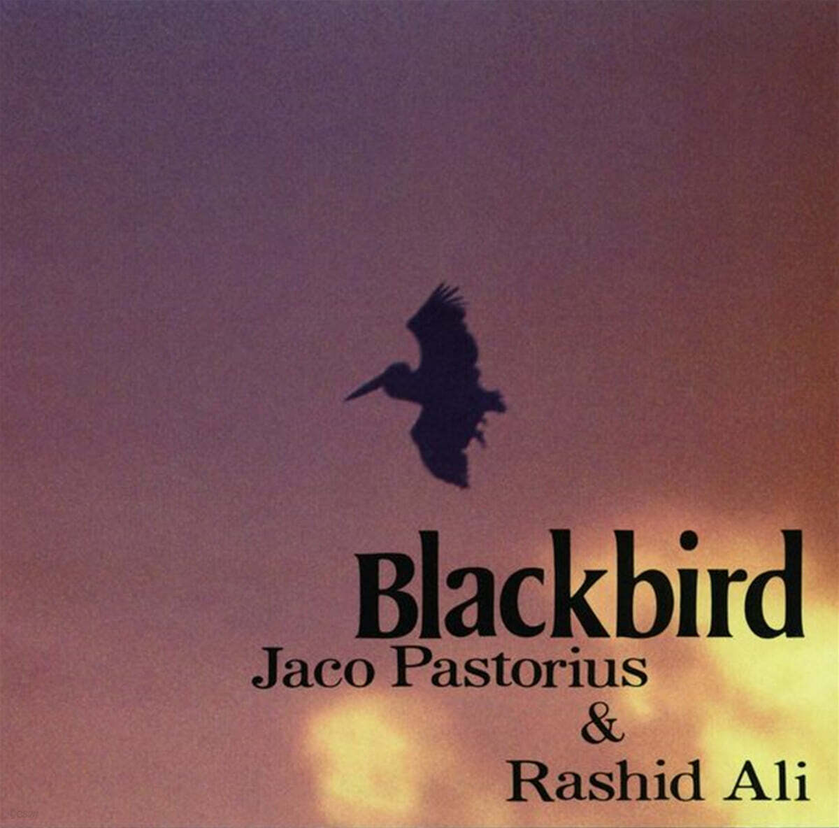 Jaco Pastorius / Rashid Ali - Blackbirds
