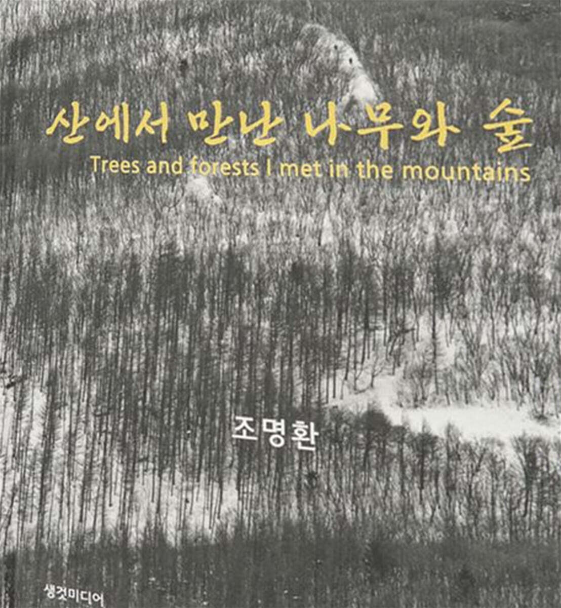 산에서 만난 나무와 숲