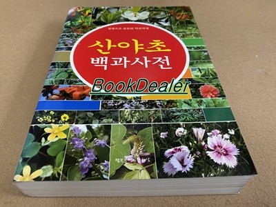 산야초 백과사전 