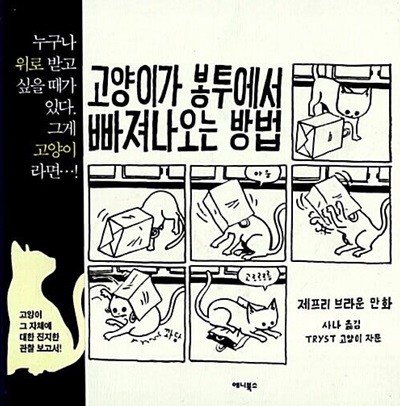 고양이가 봉투에서 빠져나오는 방법