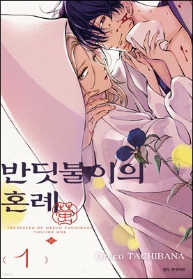 책 정보