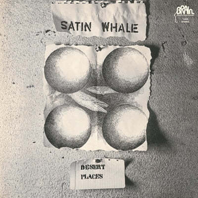 Satin Whale — Desert Places 앨범 커버