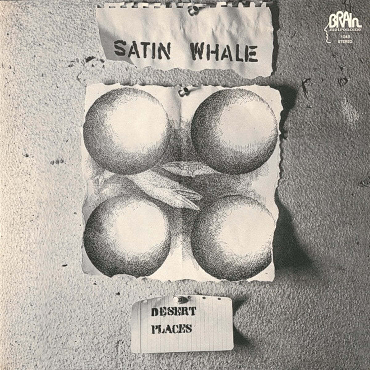 Satin Whale (새틴 웨일) - Desert Places [LP]
