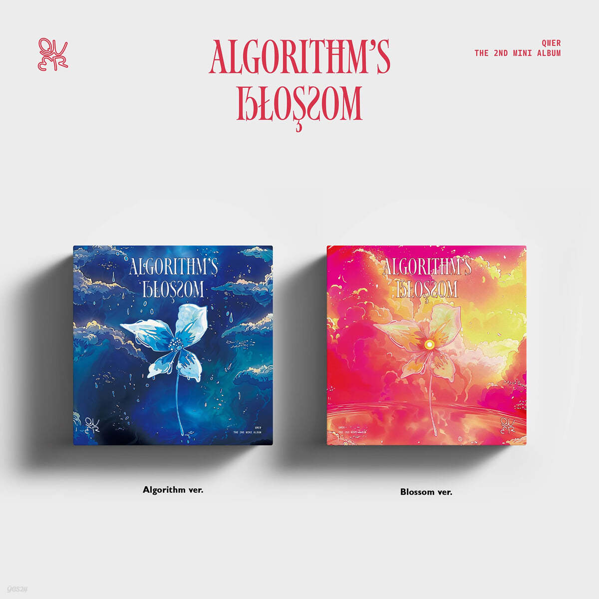 QWER (큐더블유이알) - 미니앨범 2집 : Algorithm&#39;s Blossom [2종 SET]