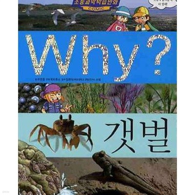 Why? 갯벌