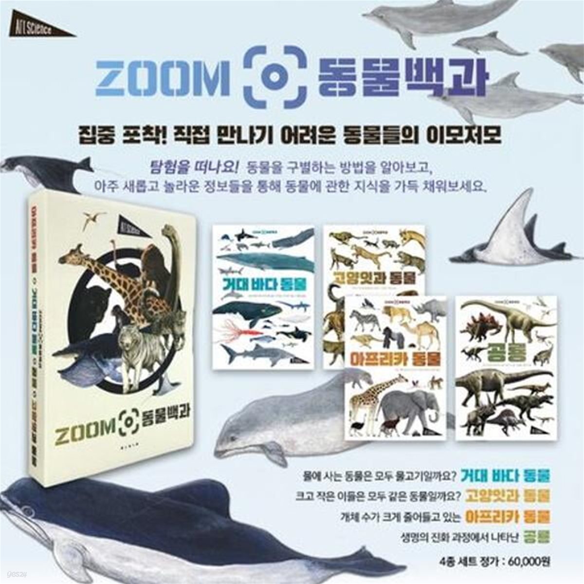 ZOOM 백과 4종세트