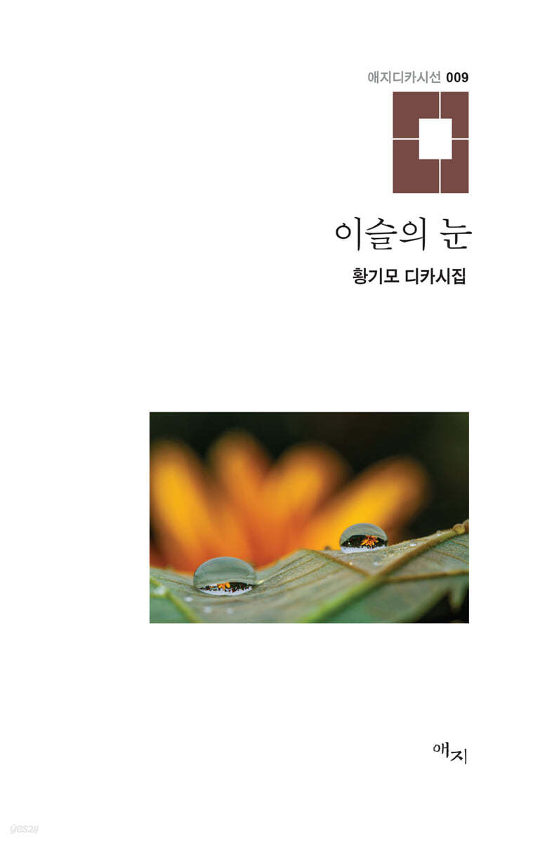 이슬의 눈