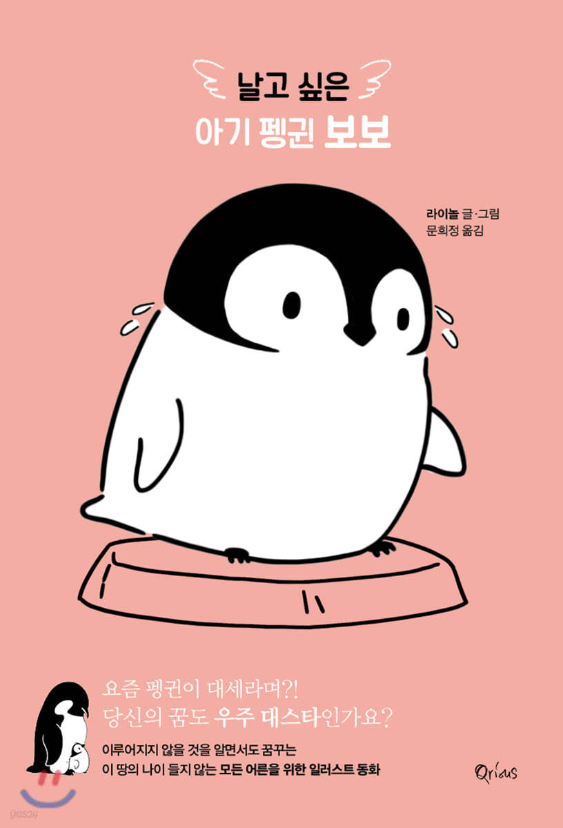 날고 싶은 아기 펭귄 보보