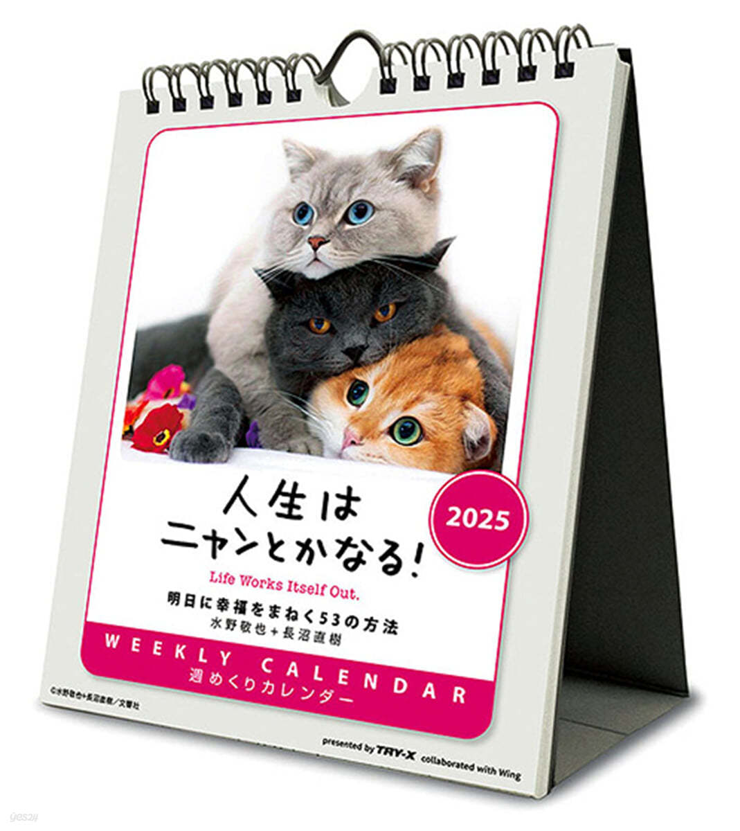 人生はニャンとかなる! 卓上/壁掛 2025年 カレンダ-   