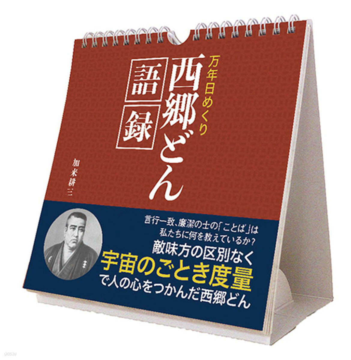 万年日めくり西郷どん語録 卓上/壁掛 2025年 カレンダ- 