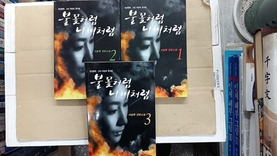 불꽃처럼 나비처럼,(1.2.3,총3권 세트),-명성황후 그의 야망과 첫사랑-