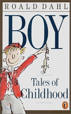 Boy : Tales of Childhood