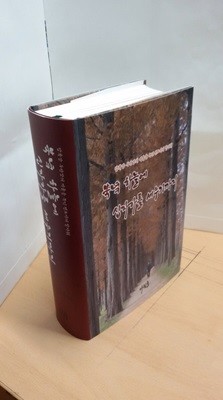 북녘 하늘에 십자가를 세우기까지(압록강 두만강의 겨울을 녹인 전도자의 발자취)