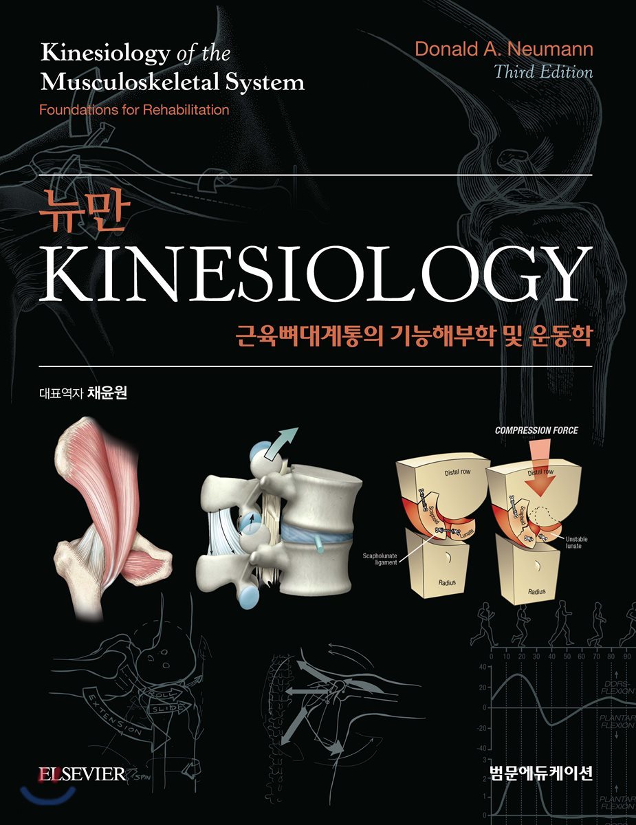 뉴만 kinesiology 근육뼈대계통의 기능해부학 및 운동학