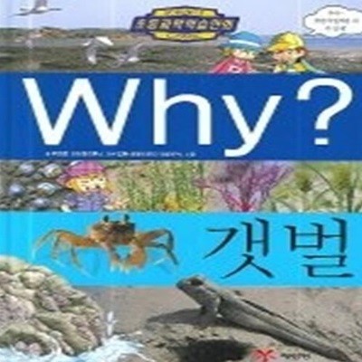 Why? 갯벌