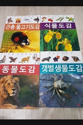 초등자연학습 예림당 4권 세트.4권 세트.1 식물도감,2 곤충·물고기도감,3 갯벌생물도감,4 동물도감.지은이 감수 신유향 외 2인.출판사 예림당.