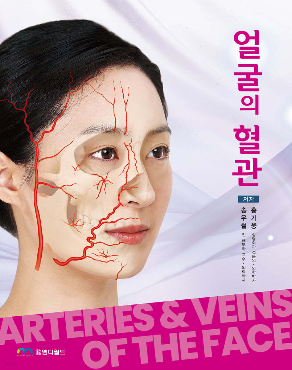 얼굴의 혈관