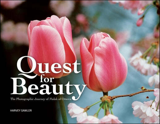 Quest for Beauty: The Photographic Journey of Malak of Ottawa