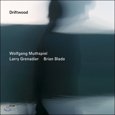Wolfgang Muthspiel, Larry Grenadier, Brian Blade - Driftwood