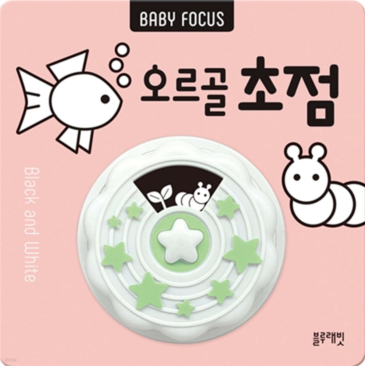 BABY FOCUS 오르골 초점