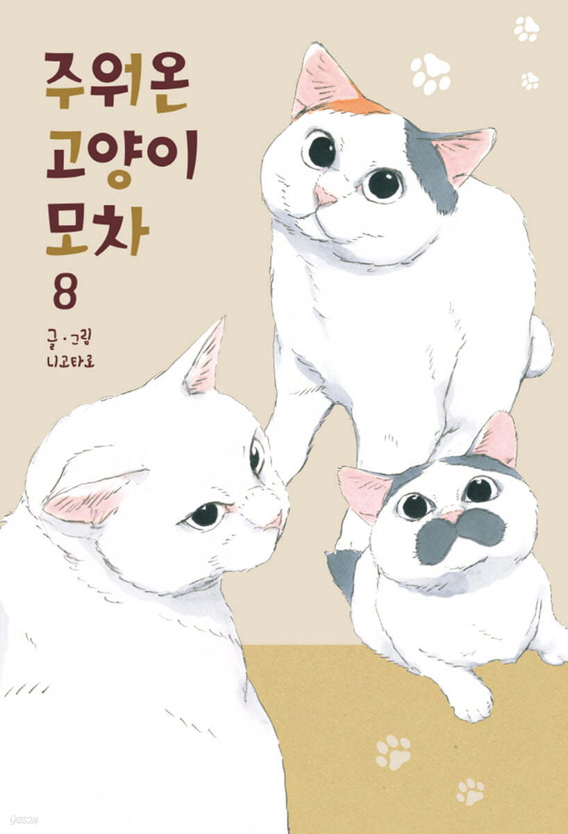 주워온 고양이 모차 8