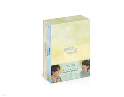 비의도적 연애담 : 프리미엄판 : (4Disc) : 블루레이