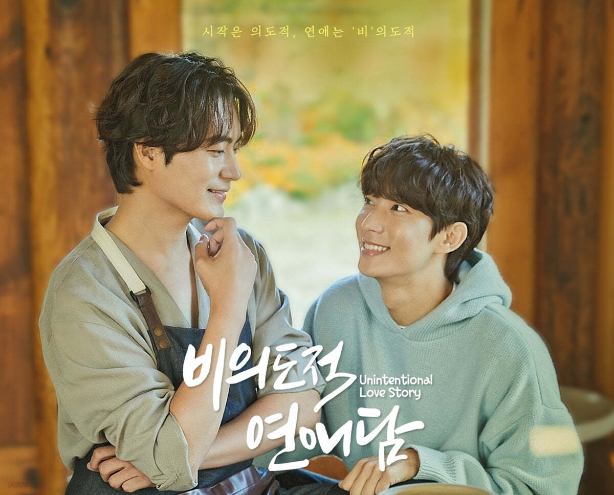 비의도적 연애담 : 프리미엄판 : (4Disc) : 블루레이