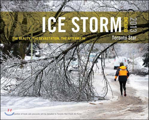 Ice Storm, Ontario 2013: The Beauty, the Devastation, the Aftermath