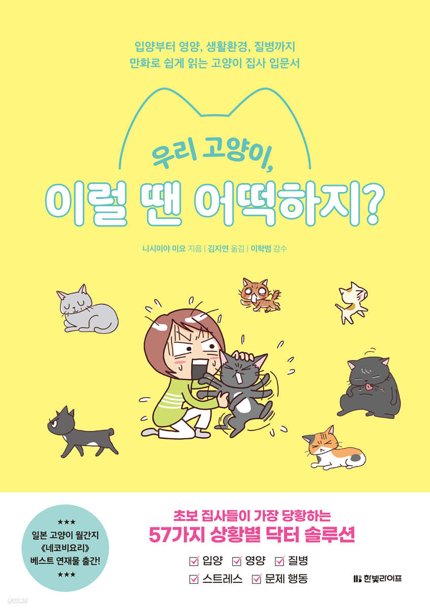 우리 고양이, 이럴 땐 어떡하지?