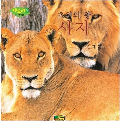 초원의 왕 사자